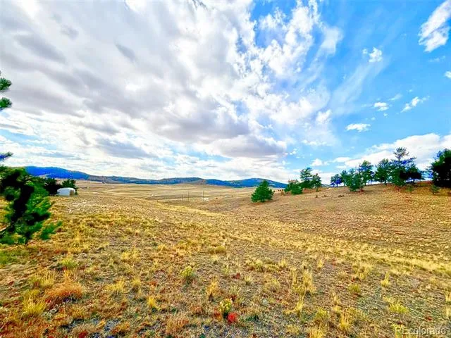115 Black Canyon Court Hartsel, CO 80449