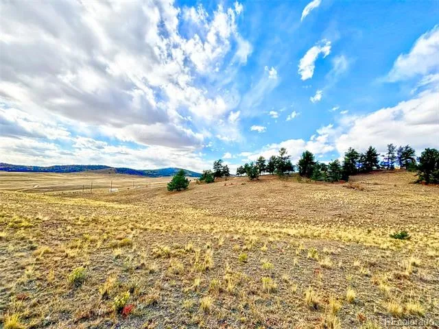 115 Black Canyon Court Hartsel, CO 80449
