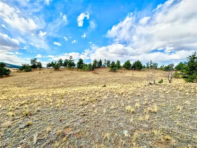 115 Black Canyon Court Hartsel, CO 80449