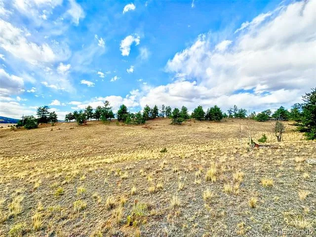 115 Black Canyon Court Hartsel, CO 80449