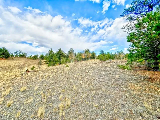 115 Black Canyon Court Hartsel, CO 80449