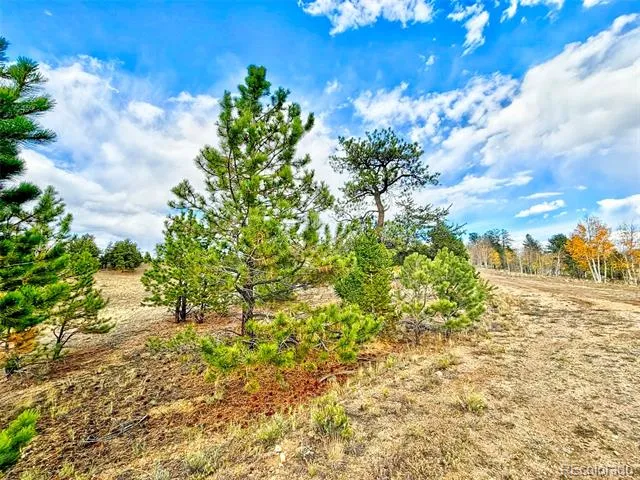 115 Black Canyon Court Hartsel, CO 80449