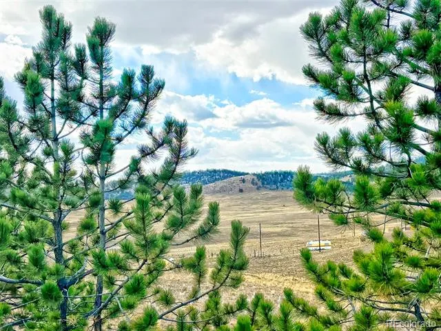 115 Black Canyon Court Hartsel, CO 80449