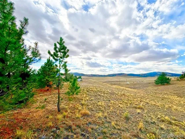 115 Black Canyon Court Hartsel, CO 80449