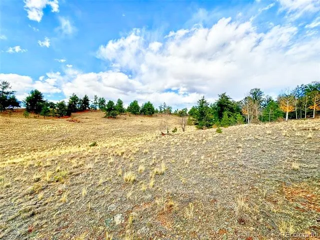 115 Black Canyon Court Hartsel, CO 80449