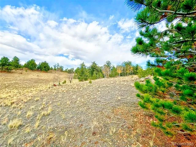 115 Black Canyon Court Hartsel, CO 80449