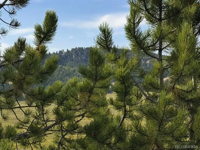 115 Black Canyon Court Hartsel, CO 80449