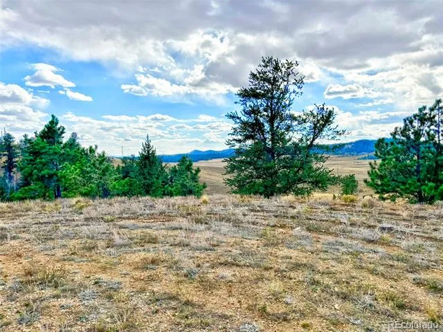 115 Black Canyon Court Hartsel, CO 80449