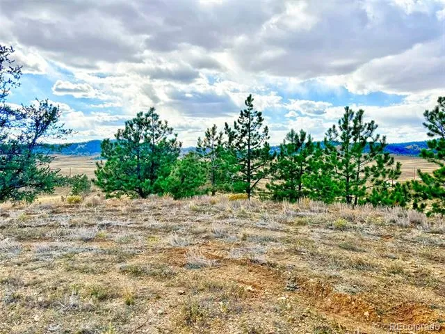 115 Black Canyon Court Hartsel, CO 80449