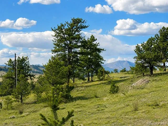 115 Black Canyon Court Hartsel, CO 80449