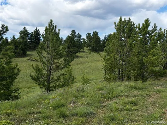 115 Black Canyon Court Hartsel, CO 80449