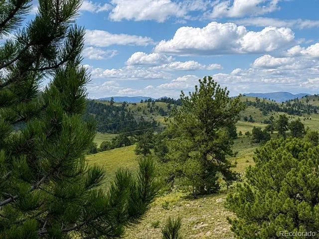 115 Black Canyon Court Hartsel, CO 80449