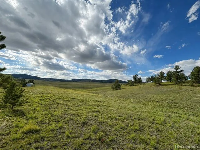 115 Black Canyon Court Hartsel, CO 80449
