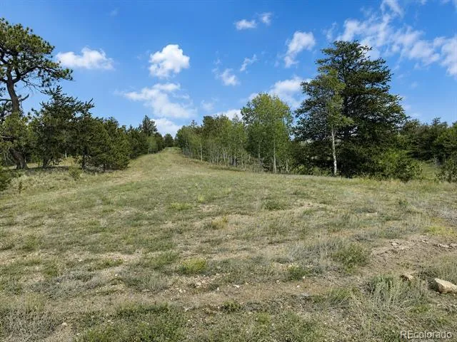 115 Black Canyon Court Hartsel, CO 80449