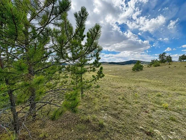 115 Black Canyon Court Hartsel, CO 80449