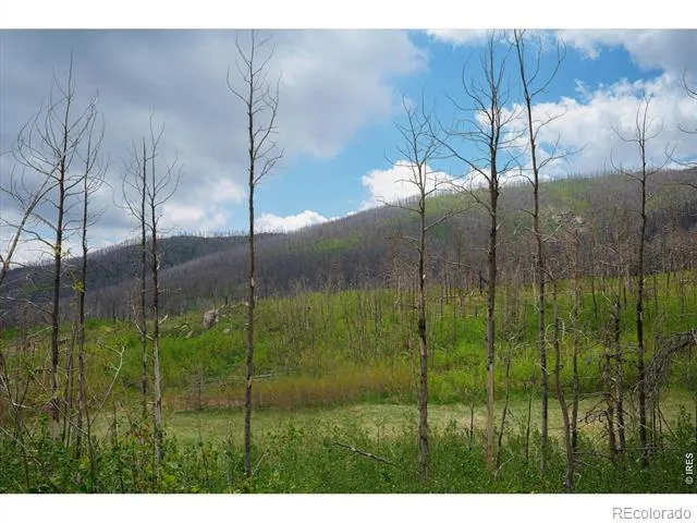 30 Sheep Horn Court Bellvue, CO 80512