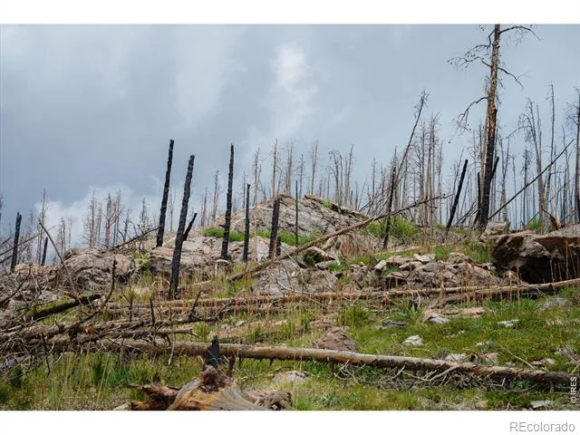 30 Sheep Horn Court Bellvue, CO 80512