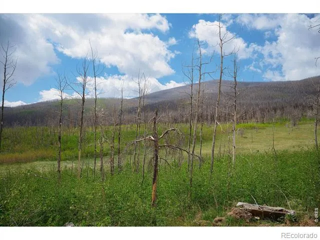30 Sheep Horn Court Bellvue, CO 80512