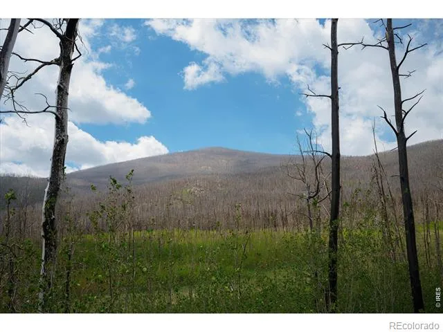 30 Sheep Horn Court Bellvue, CO 80512