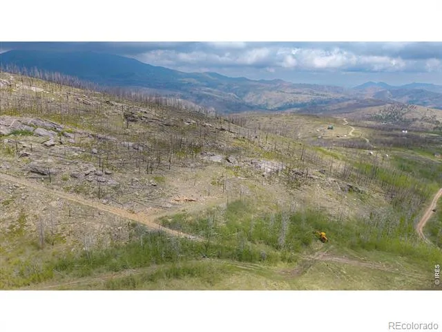 30 Sheep Horn Court Bellvue, CO 80512
