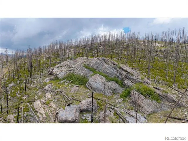 30 Sheep Horn Court Bellvue, CO 80512