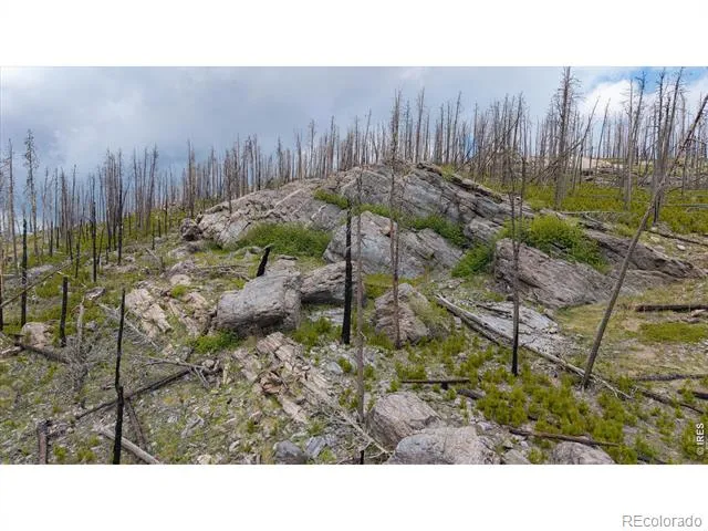 30 Sheep Horn Court Bellvue, CO 80512