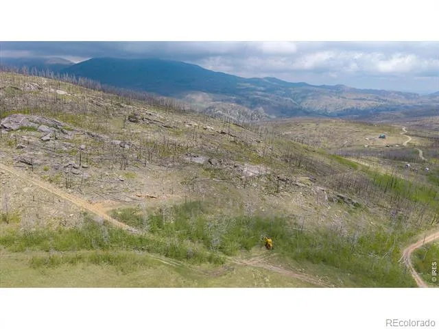 30 Sheep Horn Court Bellvue, CO 80512