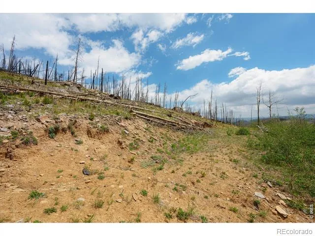 30 Sheep Horn Court Bellvue, CO 80512