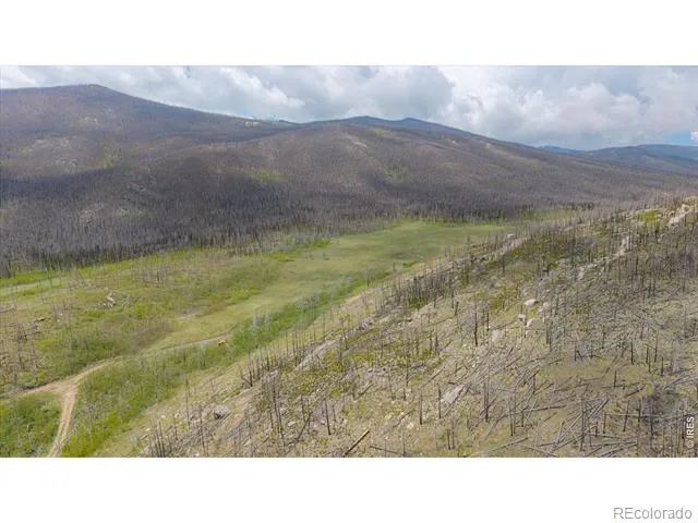30 Sheep Horn Court Bellvue, CO 80512