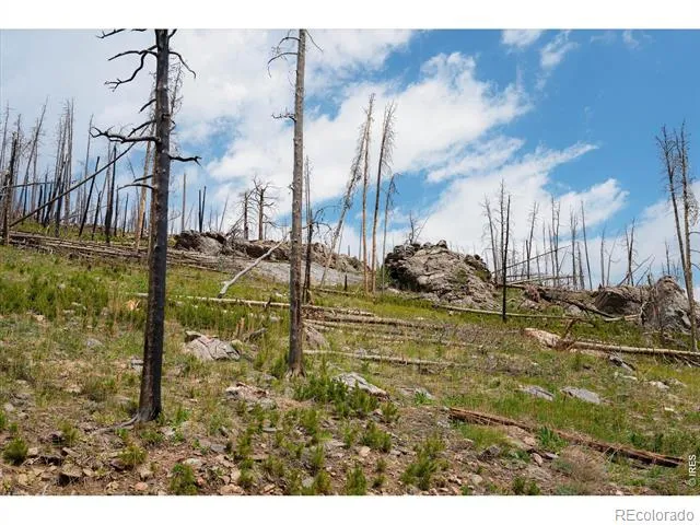 30 Sheep Horn Court Bellvue, CO 80512