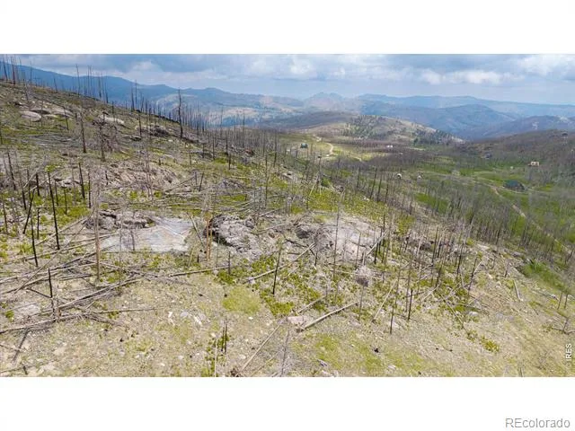 30 Sheep Horn Court Bellvue, CO 80512