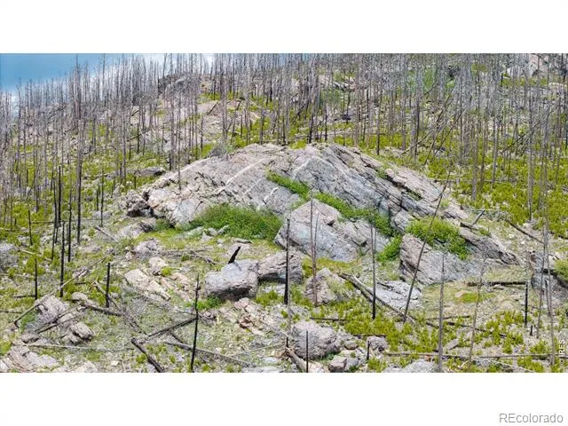 30 Sheep Horn Court Bellvue, CO 80512