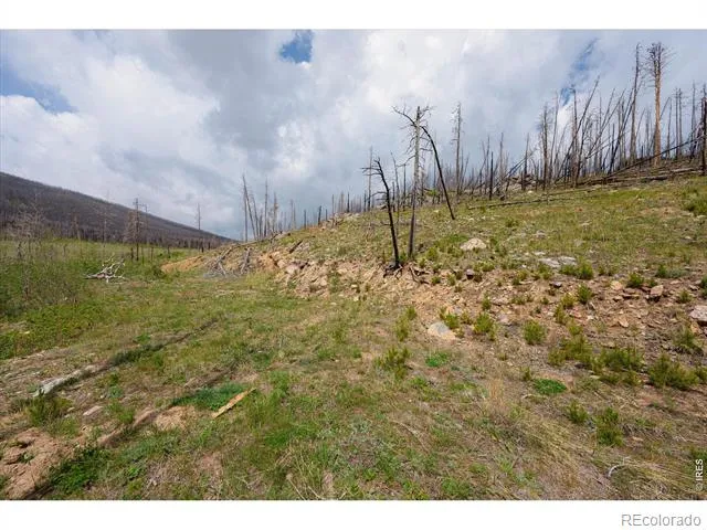 30 Sheep Horn Court Bellvue, CO 80512