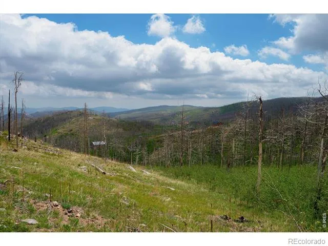 30 Sheep Horn Court Bellvue, CO 80512