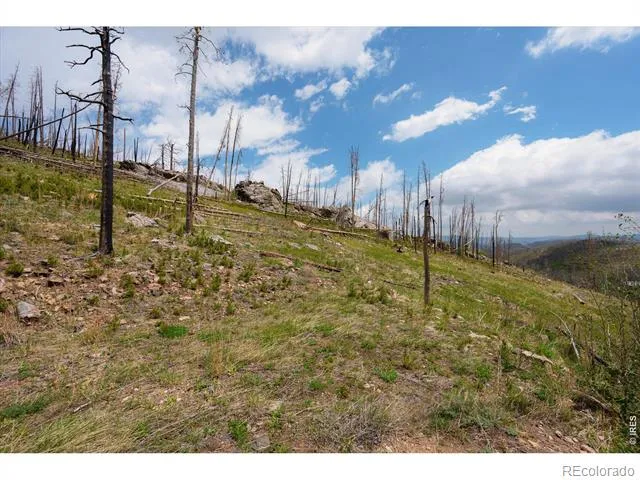 30 Sheep Horn Court Bellvue, CO 80512