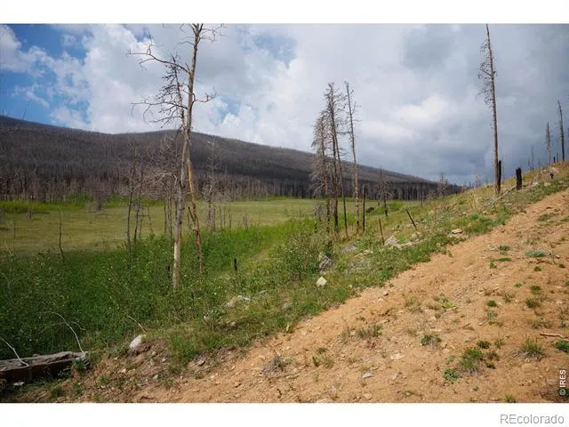 30 Sheep Horn Court Bellvue, CO 80512