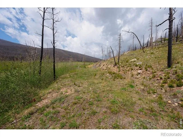 30 Sheep Horn Court Bellvue, CO 80512