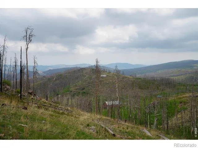 30 Sheep Horn Court Bellvue, CO 80512