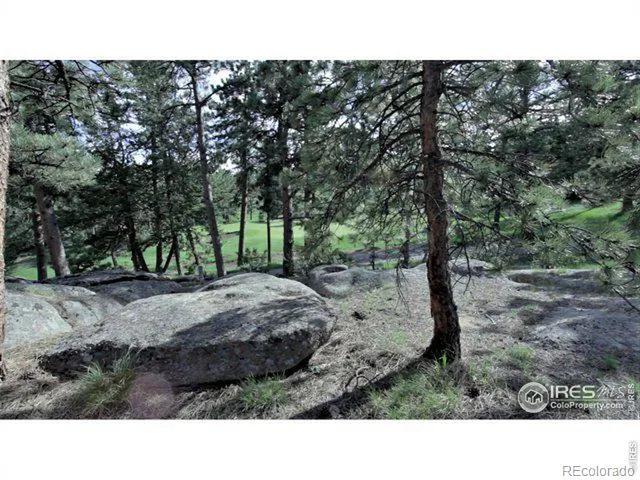 530 Fox Acres Drive W Red Feather Lakes, CO 80545