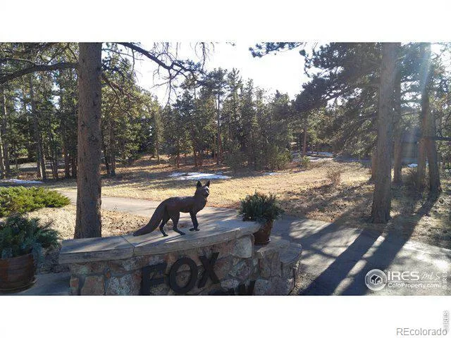 0 Fox Acres Drive E Red Feather Lakes, CO 80545