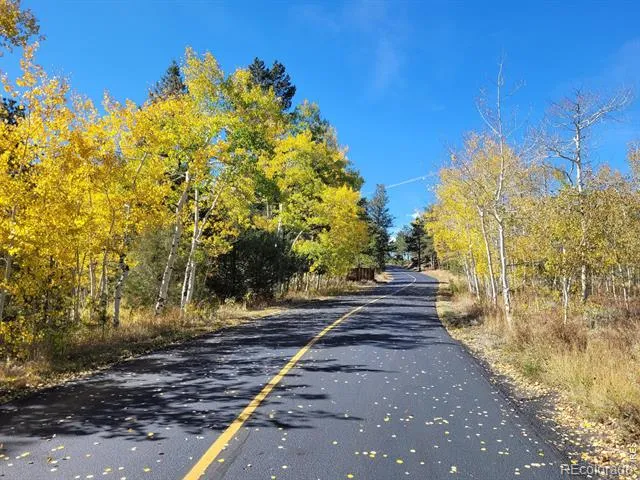 0 Fox Acres Drive E Red Feather Lakes, CO 80545