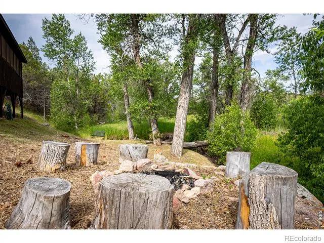 950 Meadow Creek Road Livermore, CO 80536