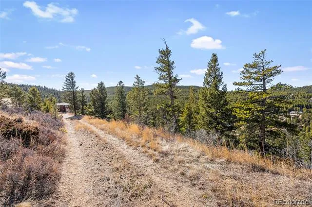 58 Doe Trail Nederland, CO 80466