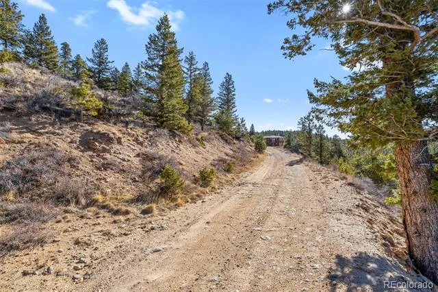 58 Doe Trail Nederland, CO 80466