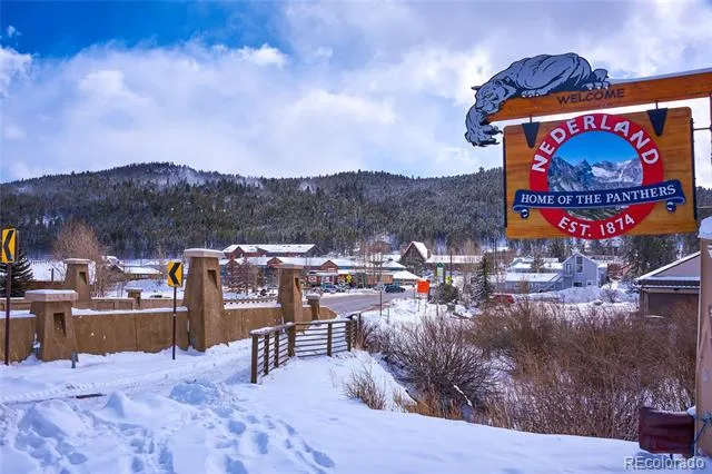 58 Doe Trail Nederland, CO 80466