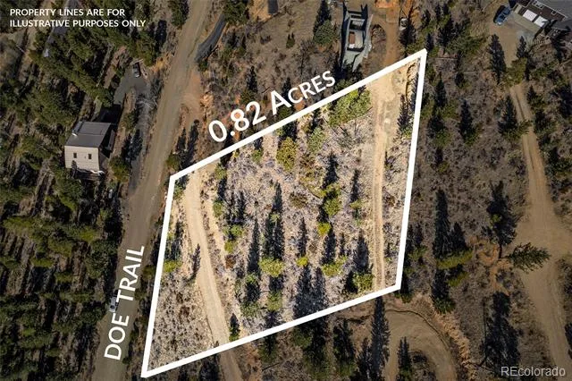 58 Doe Trail Nederland, CO 80466