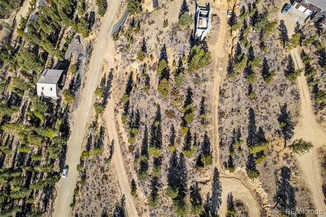 58 Doe Trail Nederland, CO 80466