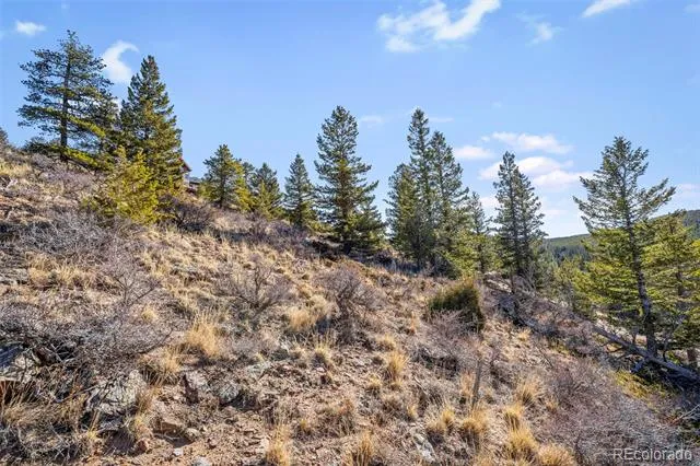 58 Doe Trail Nederland, CO 80466
