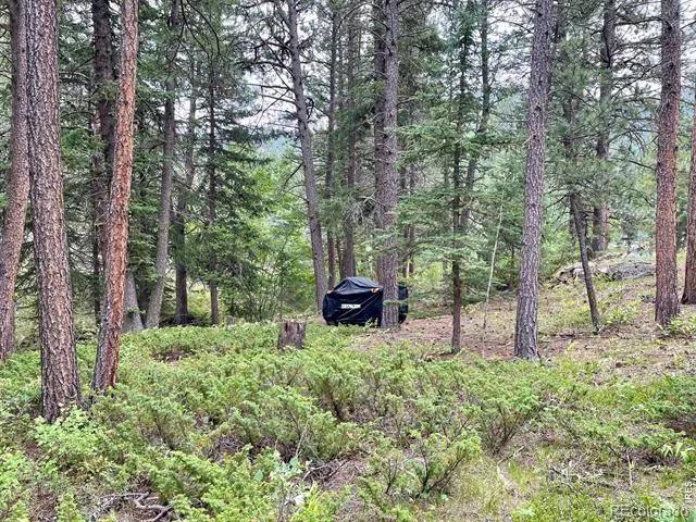 0 Hemlock Drive Lyons, CO 80540