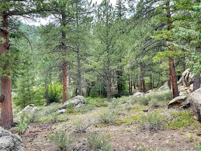 0 Hemlock Drive Lyons, CO 80540